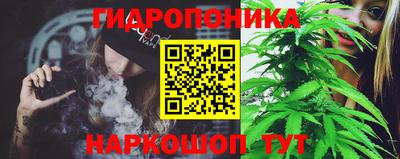 трава Бийск