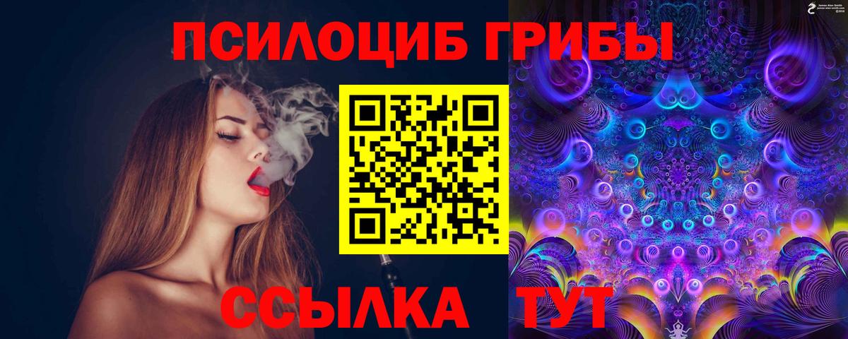 Псилоцибиновые грибы Magic Shrooms Камышлов