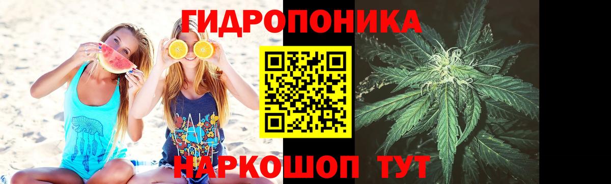 МАРИХУАНА AK-47  Шишки марихуана Amnesia  Каннабис планчик  Конопля семена  Камышлов  Вход с VPN 